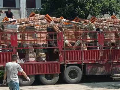 7 koupe manipilasyon koupe te livrezon nan Myanmar